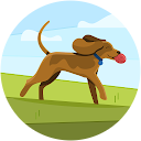 池田ゆうき 池田ゆうき