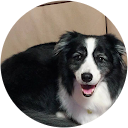 Tomoko T (とんちゃん) Tomoko T (とんちゃん)