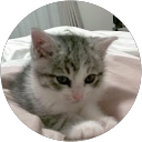 0801 Qoopee 0801 Qoopee