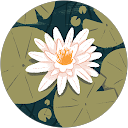 ka chi (ちっち) profile picture